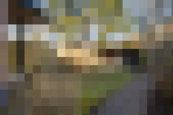 Bothalaan 98 Zeist thumbnail 43