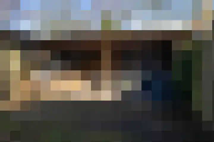 Bothalaan 98 Zeist thumbnail 44