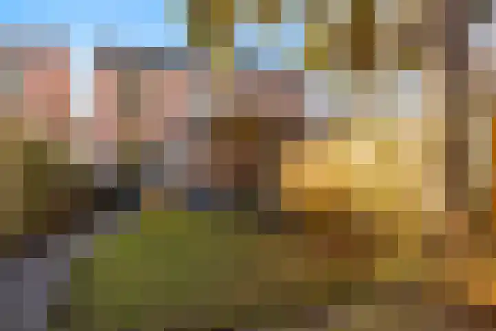 Bothalaan 98 Zeist thumbnail 45