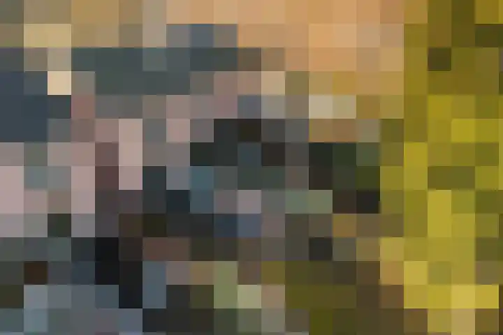 Bothalaan 98 Zeist thumbnail 46