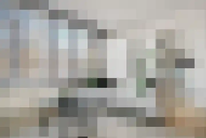 Bothastraat 10 A Breda thumbnail 10