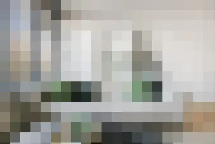 Bothastraat 10 A Breda thumbnail 11