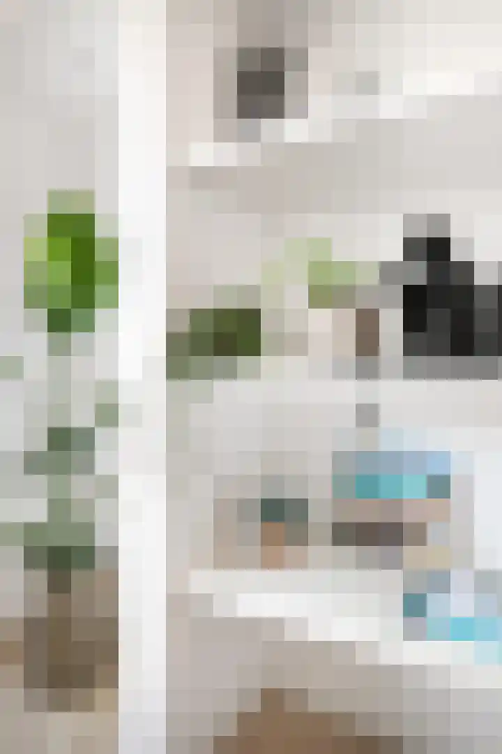 Bothastraat 10 A Breda thumbnail 13