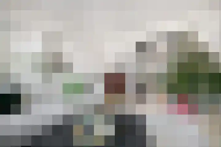 Bothastraat 10 A Breda thumbnail 15