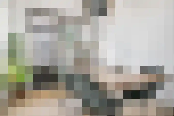Bothastraat 10 A Breda thumbnail 16