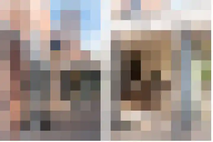 Bothastraat 10 A Breda thumbnail 26