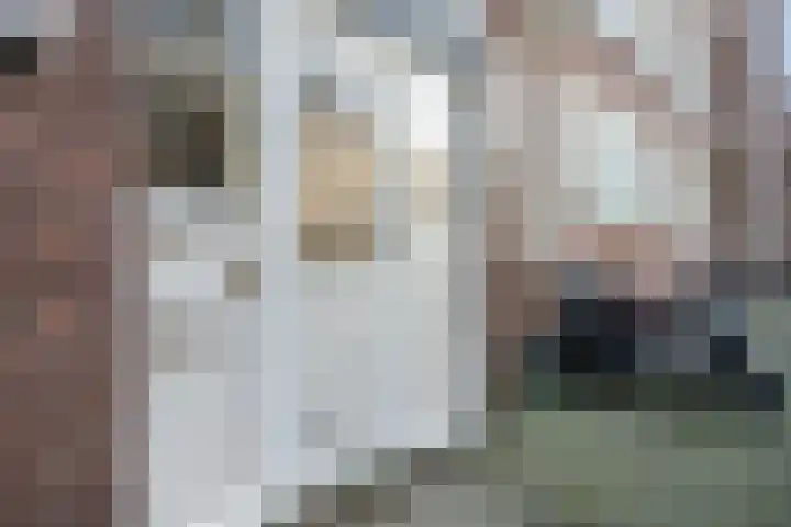 Bothastraat 10 A Breda thumbnail 6