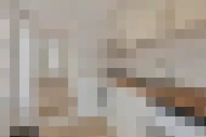 Bothastraat 12 Den Helder thumbnail 15