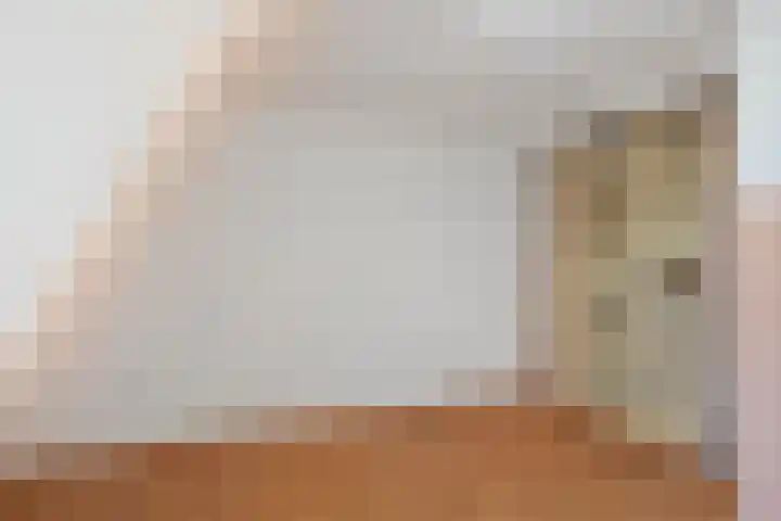 Bothastraat 12 Den Helder thumbnail 22
