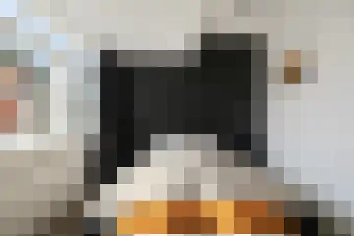 Bothastraat 2 Den Helder thumbnail 11