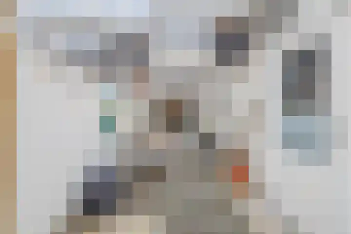 Bothastraat 32 Den Helder thumbnail 13