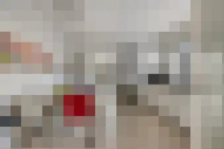 Bothaweg 2 Oosterbeek thumbnail 13