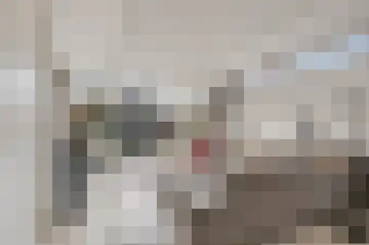 Bothaweg 2 Oosterbeek thumbnail 21