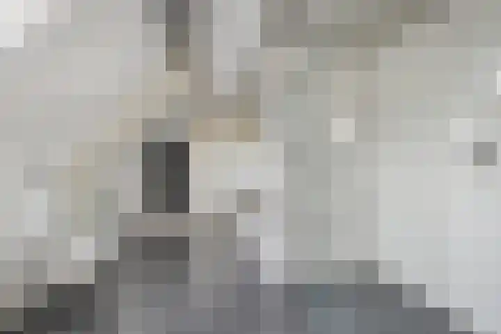 Bothaweg 2 Oosterbeek thumbnail 30