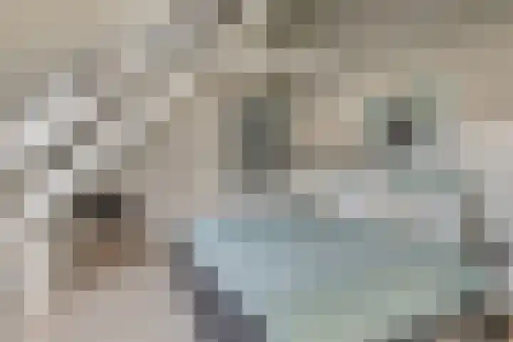 Bothaweg 2 Oosterbeek thumbnail 32