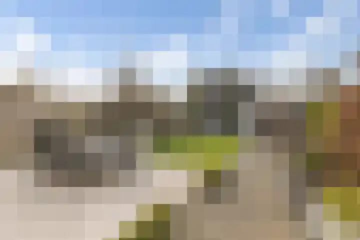 Bothaweg 2 Oosterbeek thumbnail 34