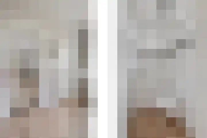 Bothaweg 2 Oosterbeek thumbnail 7