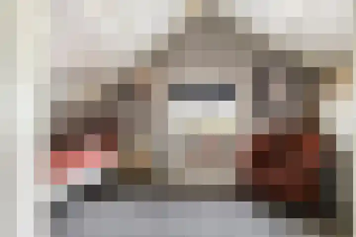 Bothaweg 2 Oosterbeek thumbnail 9