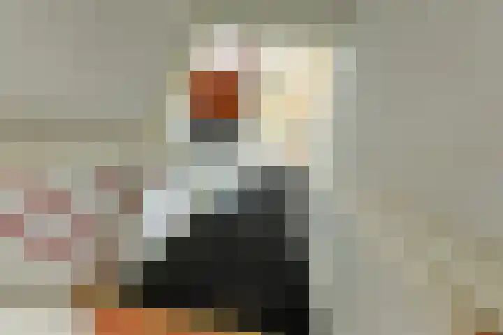 Bothaweg 9 Oosterbeek thumbnail 24