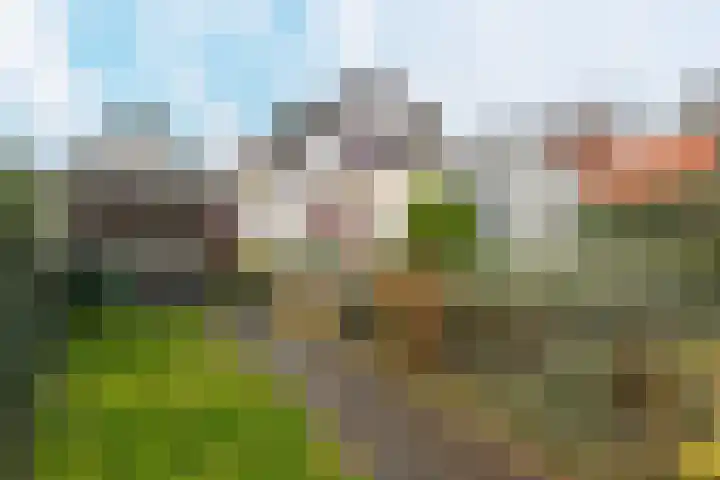 Bothaweg 9 Oosterbeek thumbnail 34