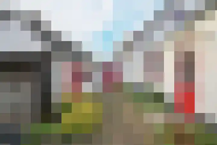 Bothaweg 9 Oosterbeek thumbnail 36