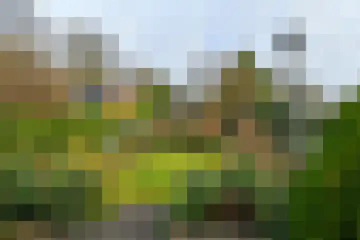 Bothaweg 9 Oosterbeek thumbnail 39