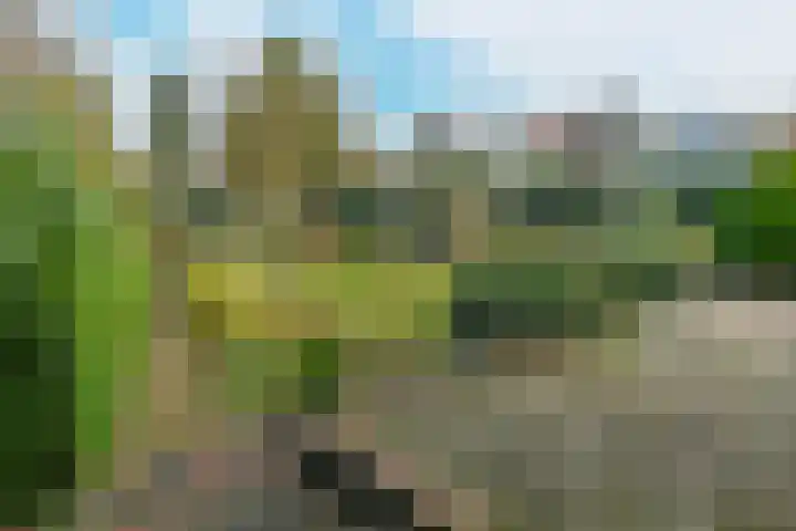 Bothaweg 9 Oosterbeek thumbnail 40