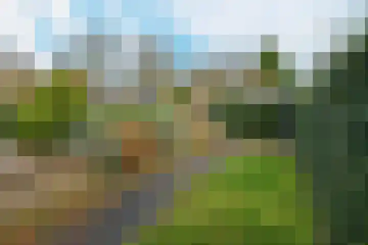 Bothaweg 9 Oosterbeek thumbnail 43
