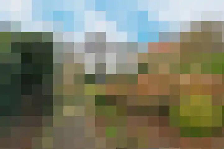 Bothaweg 9 Oosterbeek thumbnail 44