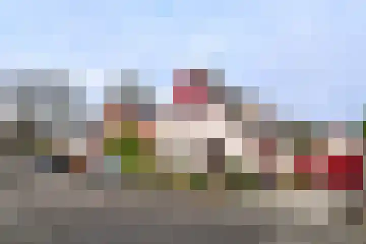 Bothaweg 9 Oosterbeek thumbnail 46