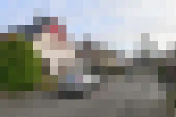 Bothaweg 9 Oosterbeek thumbnail 5