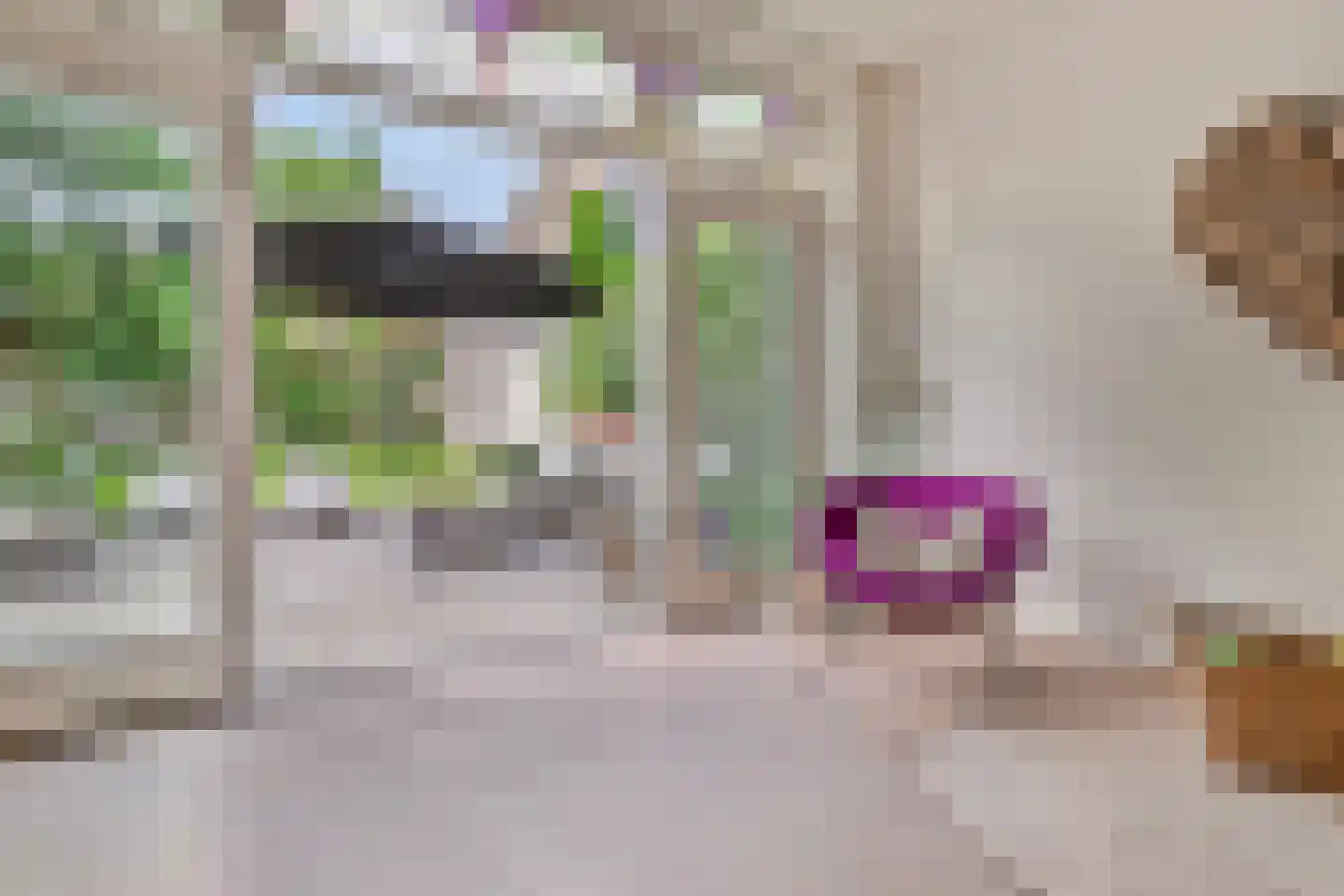 Bothniakade 3 a Sneek thumbnail 10