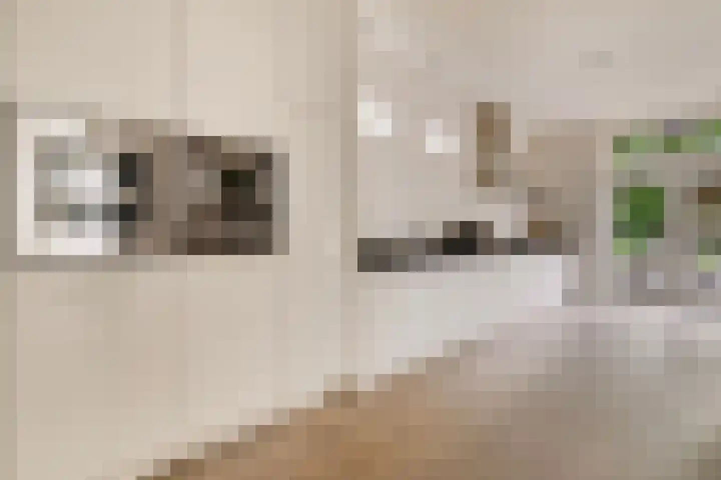 Bothniakade 3 a Sneek thumbnail 12