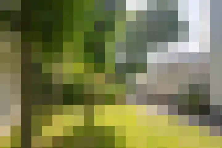 Bothniakade 3 a Sneek thumbnail 30