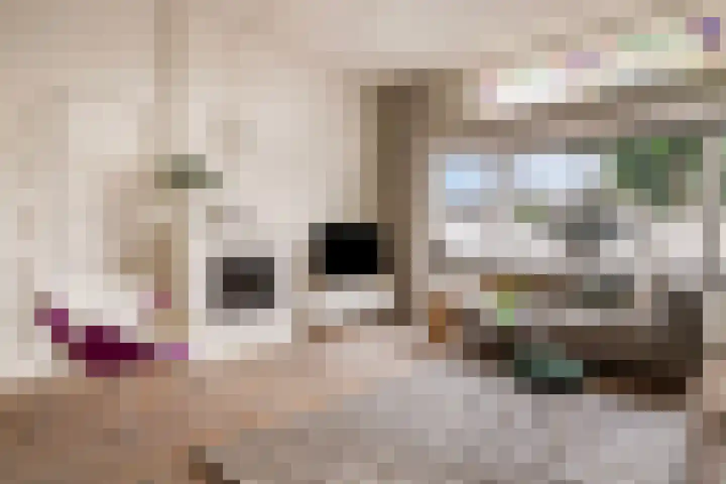 Bothniakade 3 a Sneek thumbnail 4