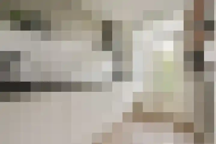 Bothniakade 3 a Sneek thumbnail 42