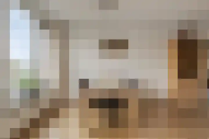 Botlek 22 Zwolle thumbnail 11