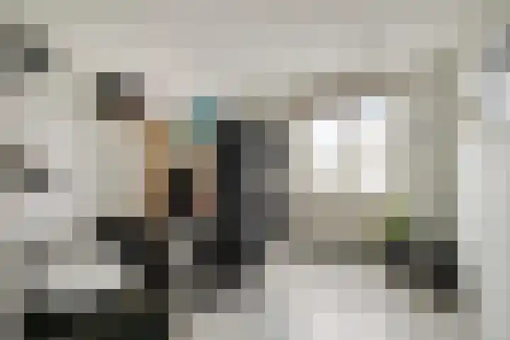 Botlek 22 Zwolle thumbnail 26