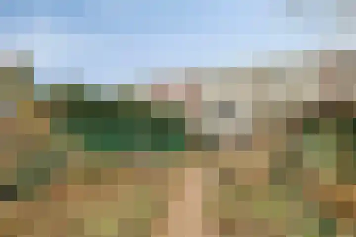 Botlek 22 Zwolle thumbnail 37