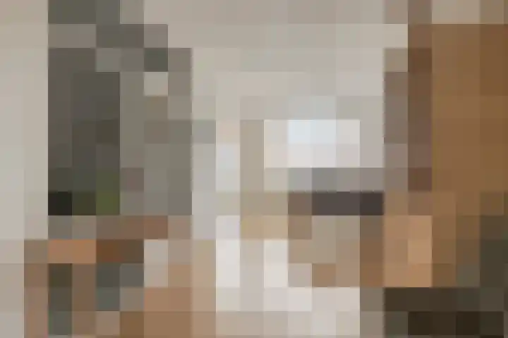 Botlek 22 Zwolle thumbnail 9
