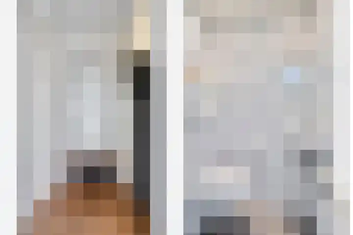 Botlek 8 Deurne thumbnail 11