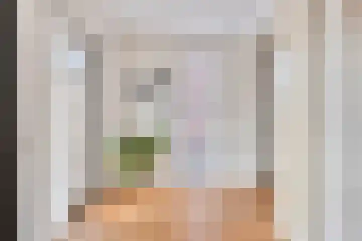 Botlek 8 Deurne thumbnail 15