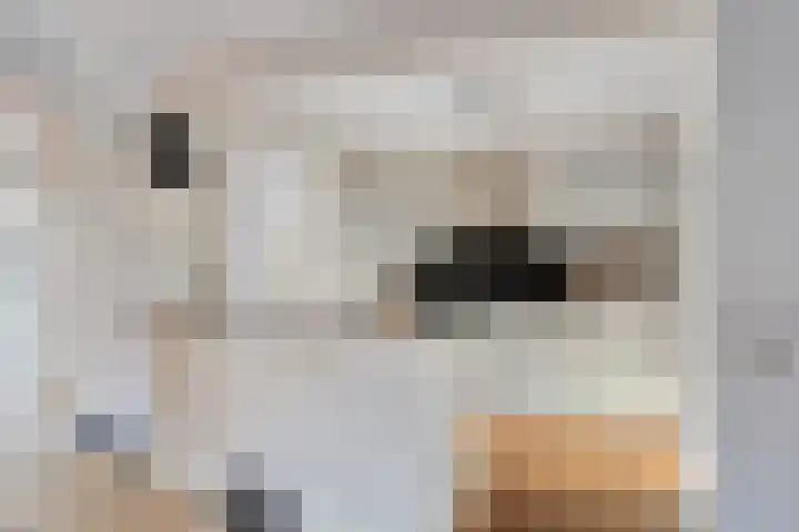 Botlek 8 Deurne thumbnail 16