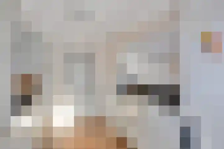 Botlek 8 Deurne thumbnail 17