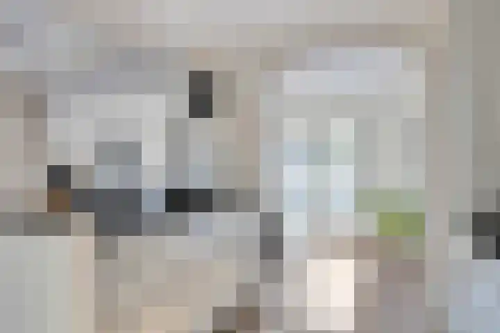 Botlek 8 Deurne thumbnail 18