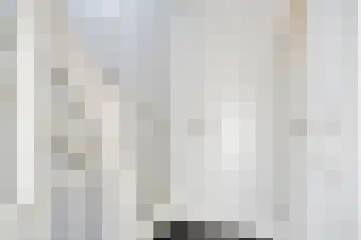 Botlek 8 Deurne thumbnail 20