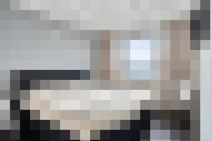 Botlek 8 Deurne thumbnail 21