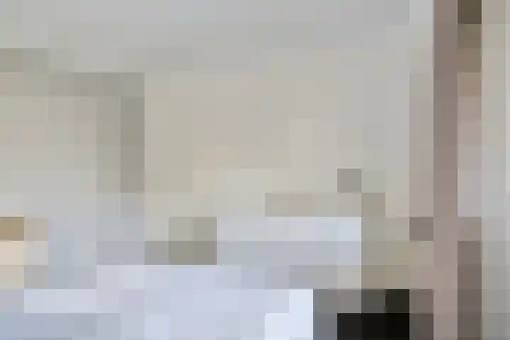 Botlek 8 Deurne thumbnail 24