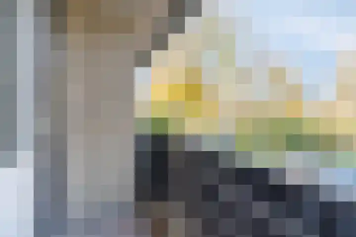 Botlek 8 Deurne thumbnail 25