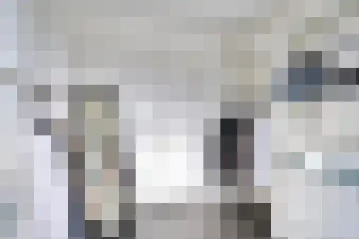 Botlek 8 Deurne thumbnail 27